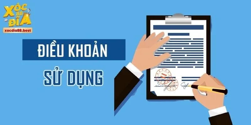Đôi nét điều khoản sử dụng